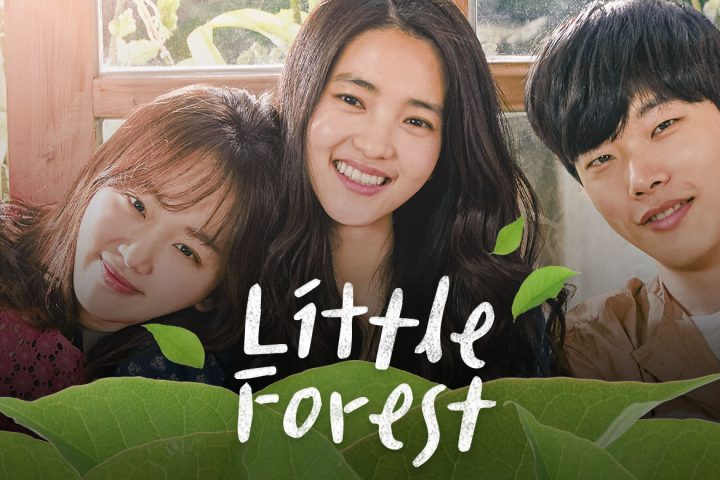 Movie Korea Little Forest Sub Indo
