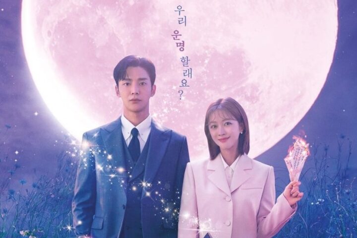 Drama Korea Destined with You Sub Indo Episode 1 - 16(END)